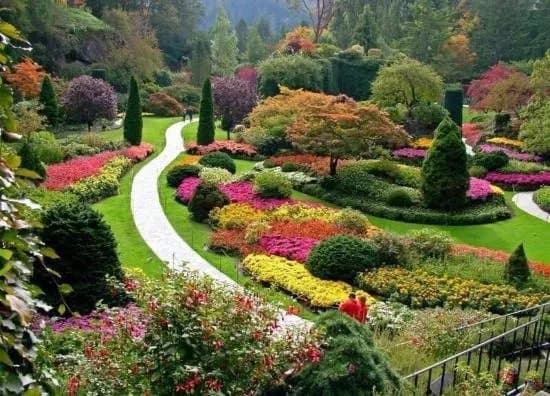 Dendrariu Park