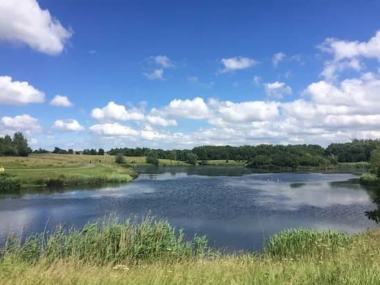 Tymon Park (East)