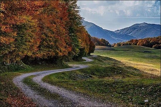 Sentiero C1 Bocca del Petroso - Forca d'Acero