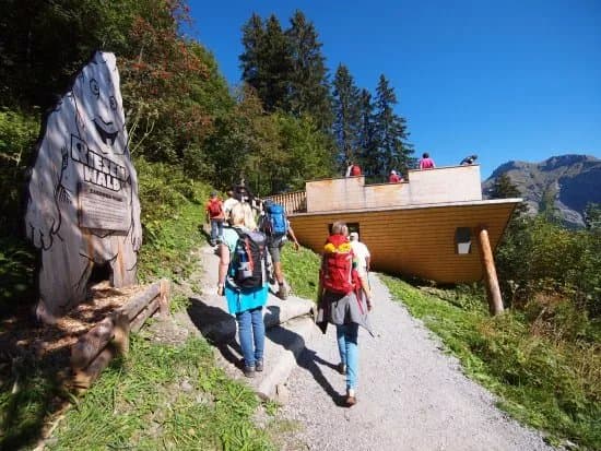 Riesenwald