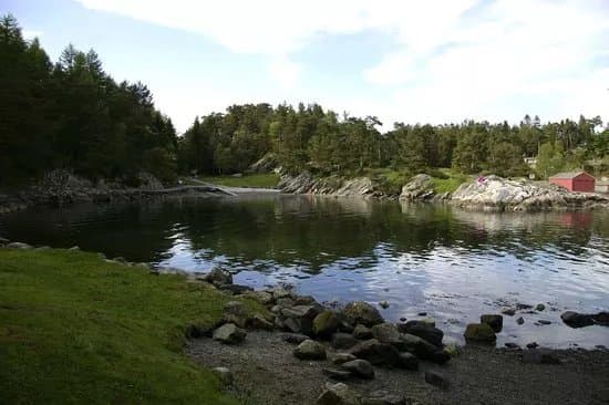 Gronevika