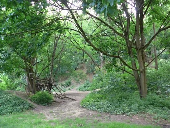Parc de Roodebeek