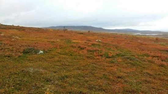 Pieljekajse Nationalpark