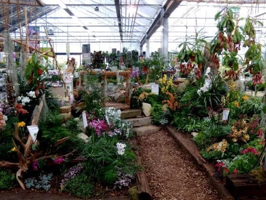 Bellandris Garten-Center Rosenheim