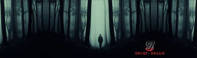 Seven Souls