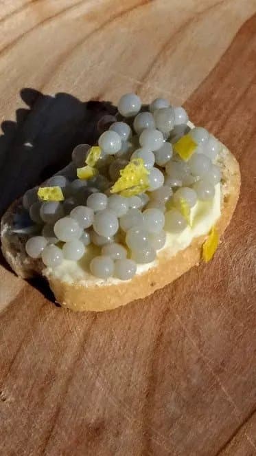 Escargotiere de Warnant