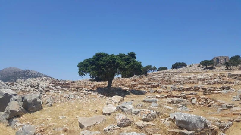 Agios Andreas Acropolis & Museum