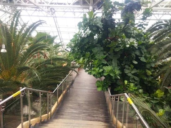 Palm House