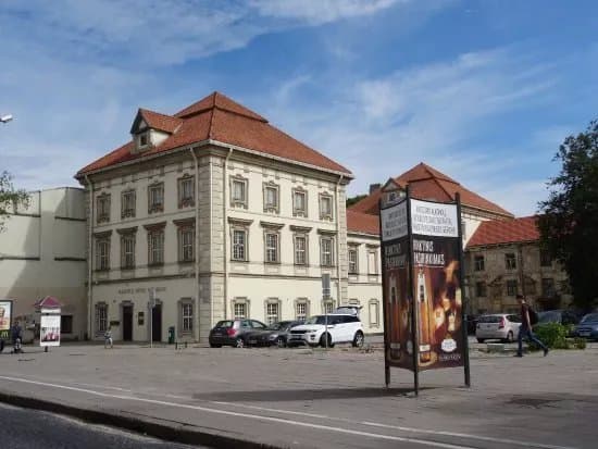 Radvilos Palace (Radvilos Rumai)