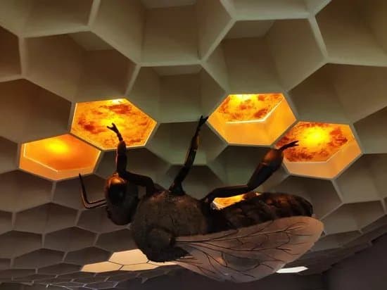 Bee Museum