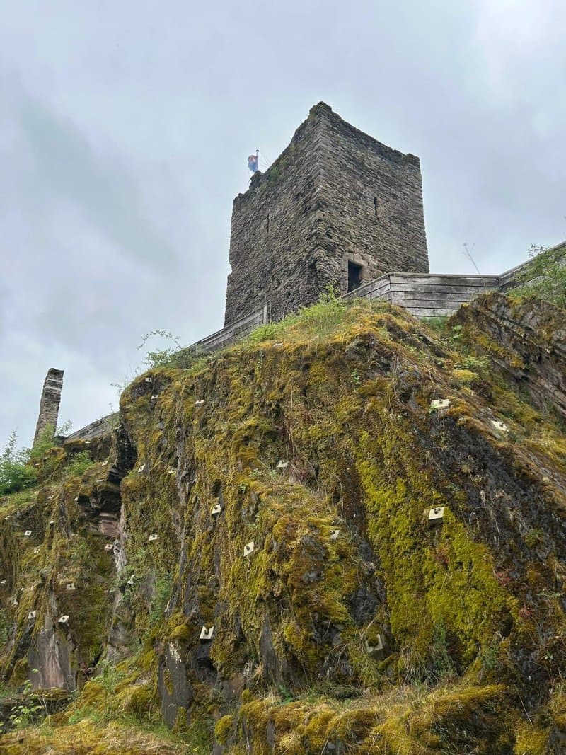 Brandenbourg Castle