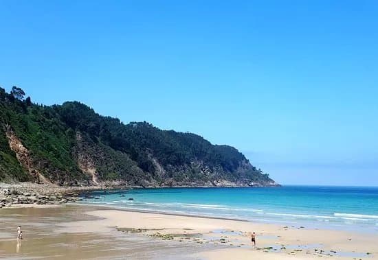 Playa Concha de Artedo