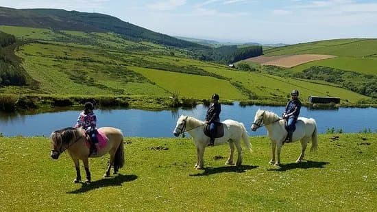 Ballahimmin Riding & Pony Trekking Centre