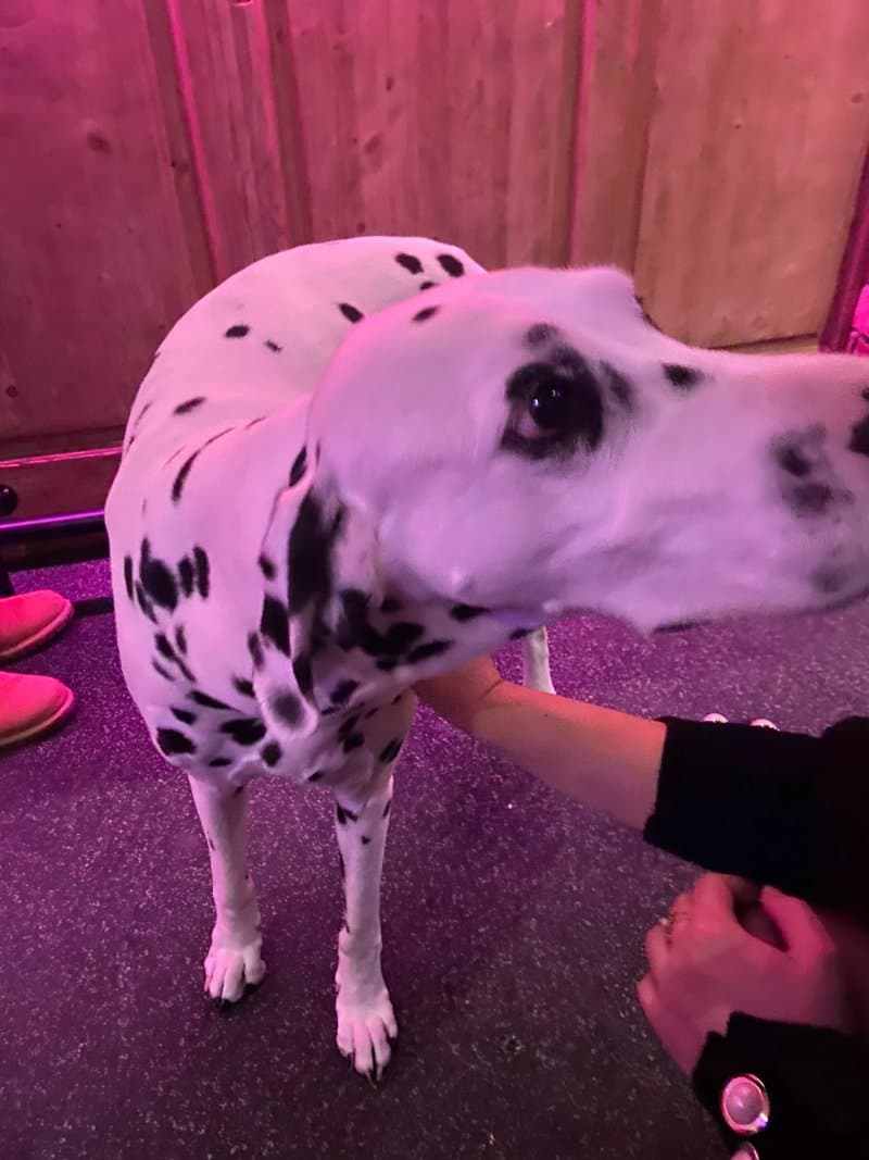 La Datcha