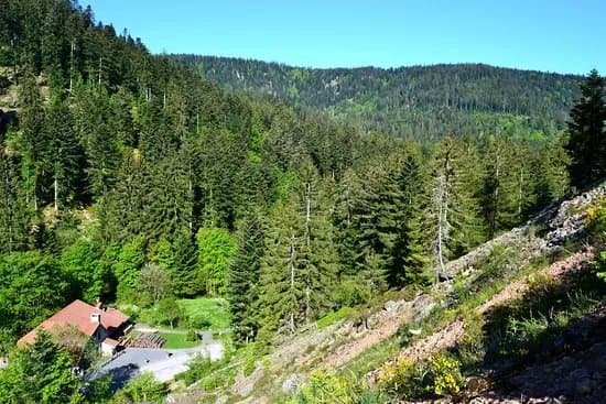 La Scierie du Lancoir