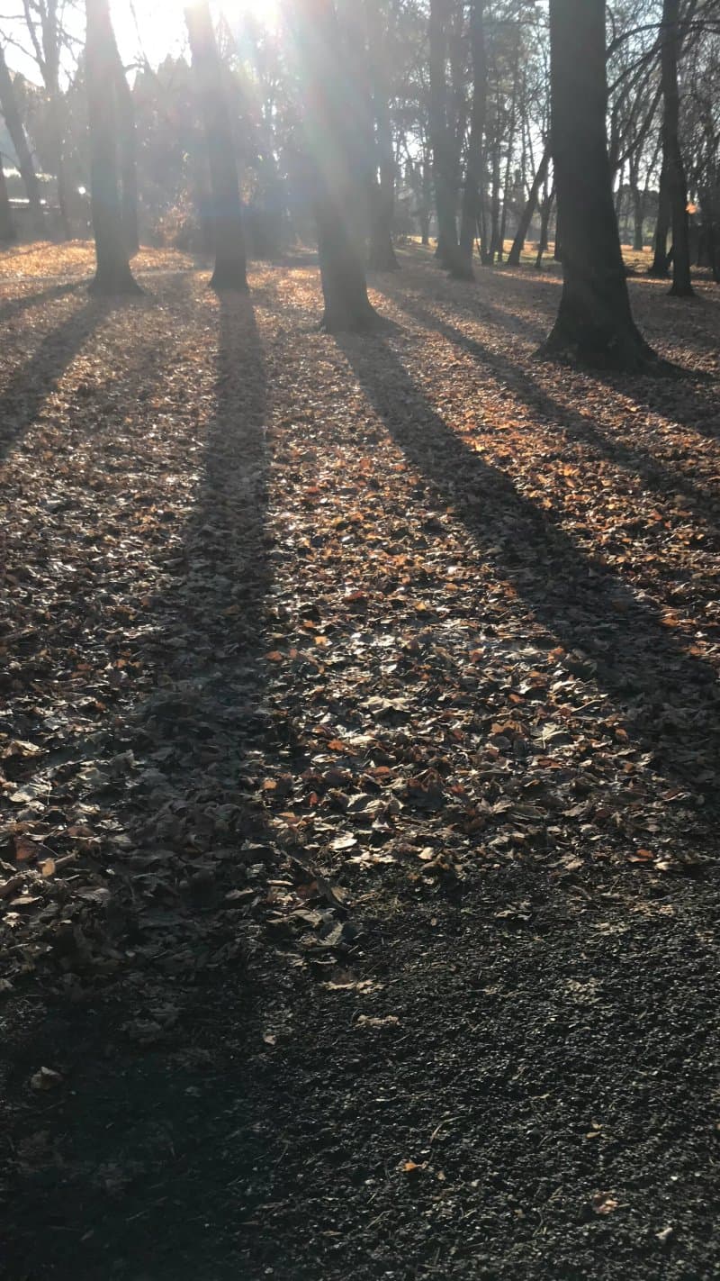 Mestsky Park - Stadtpark
