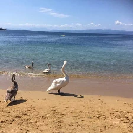 Agia Paraskevi Beach