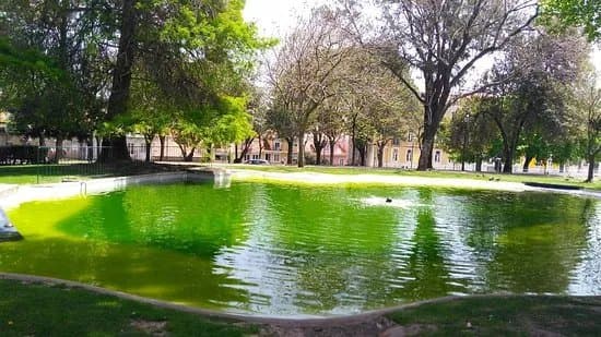 Campo dos Martires da Patria