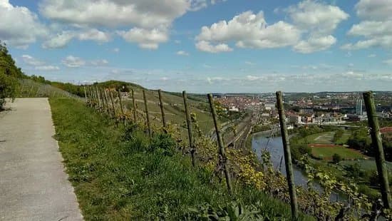 terroir f Wurzburg