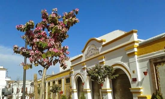 Mercado de Abastos