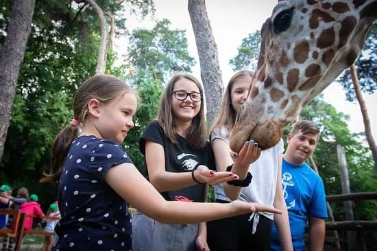 Zoo Debrecen