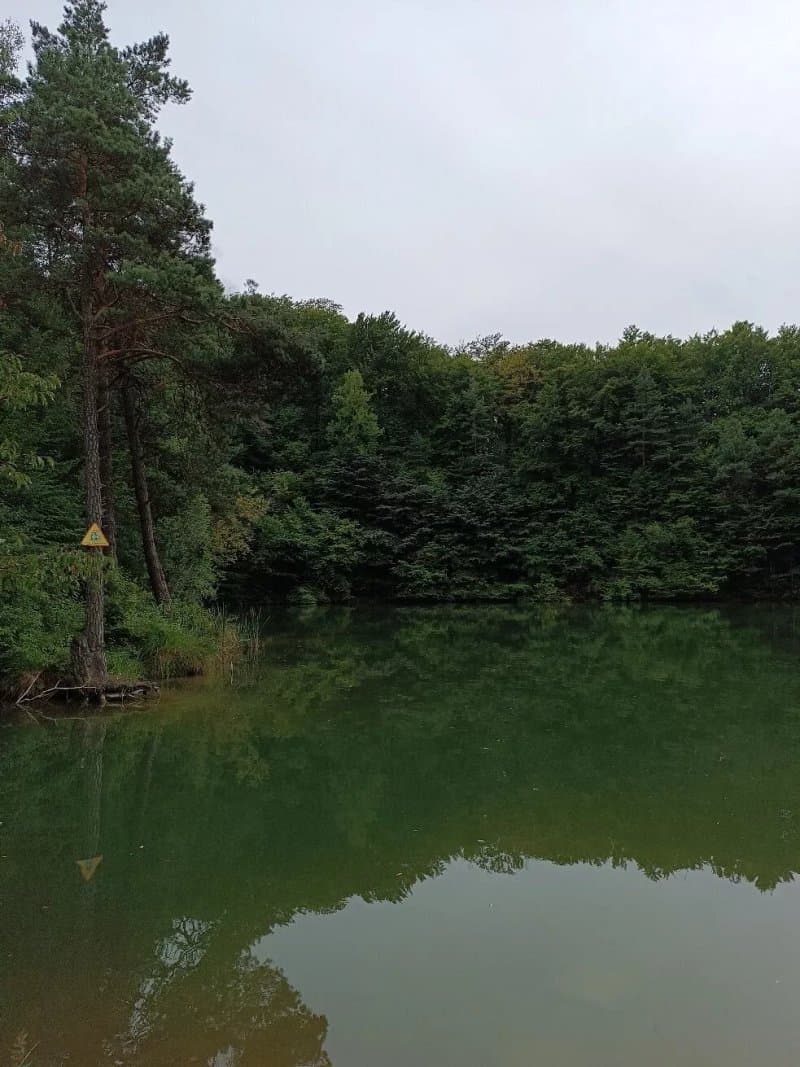 Staw Zielony