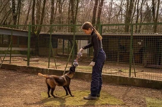 Animal Shelter Rijeka