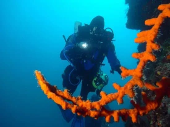 Poseidon Diving Center