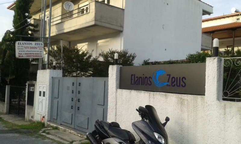 Elanios Zeus