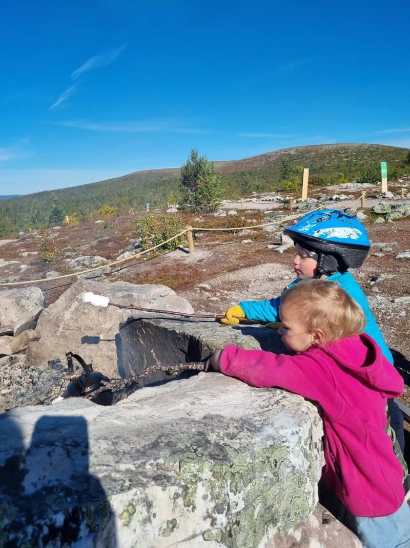 Lofsdalen Fjallpark MTB