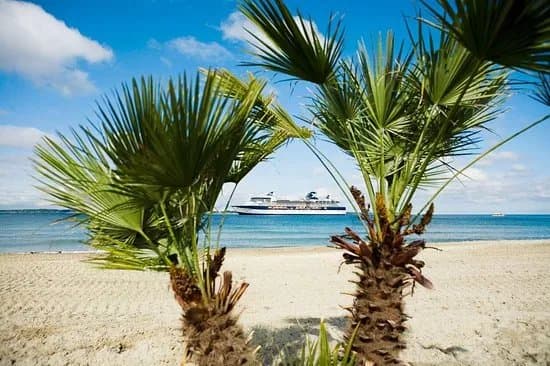 Tropical Beach