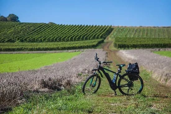 Mosa Ebike Tours