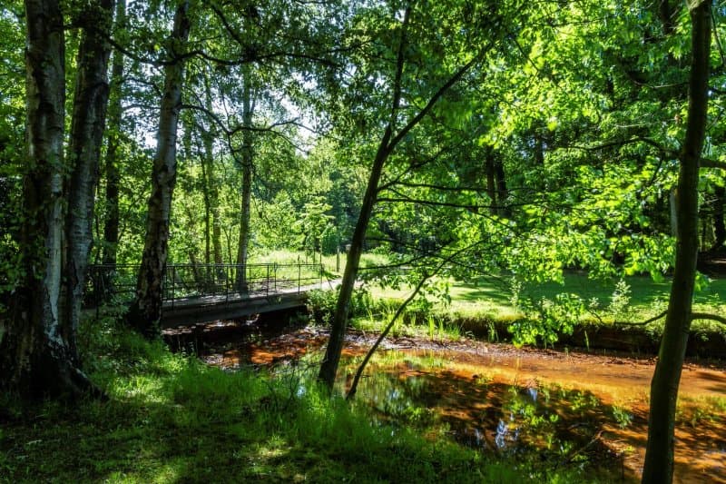 Park Domain De Mik