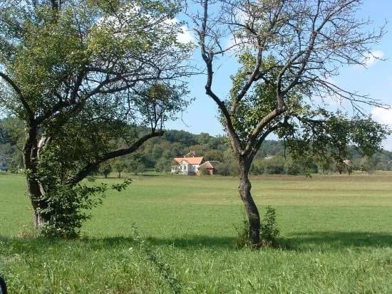 Haban Es Reneszansz Keramia