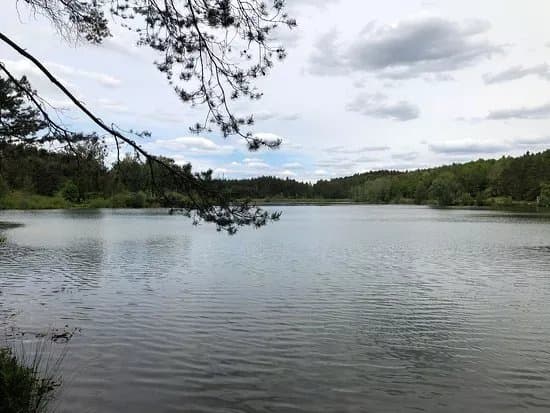 Birkensee