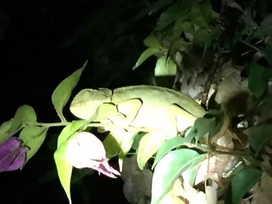 Jardin Botanico Celestino Mutis