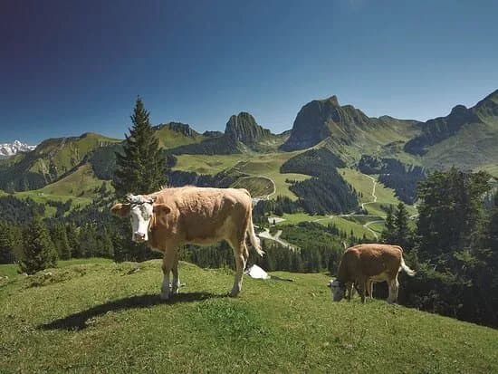 Naturpark Gantrisch