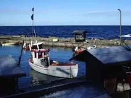 Vang Havn
