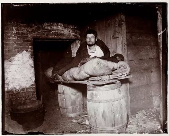 Jacob A. Riis Museum