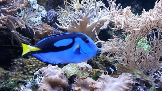 Aquazoo Leerdam