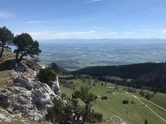 Le Suchet