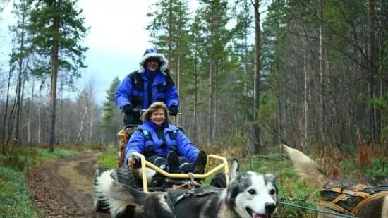 Birk Husky