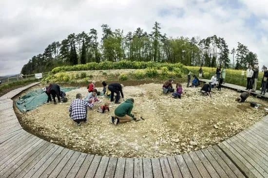 Jurassica Fouilles Du Banne