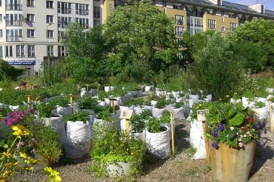 Prinzessinnengarten