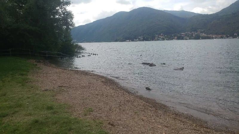 Parco Figino