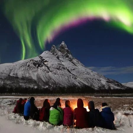 Explore the Arctic