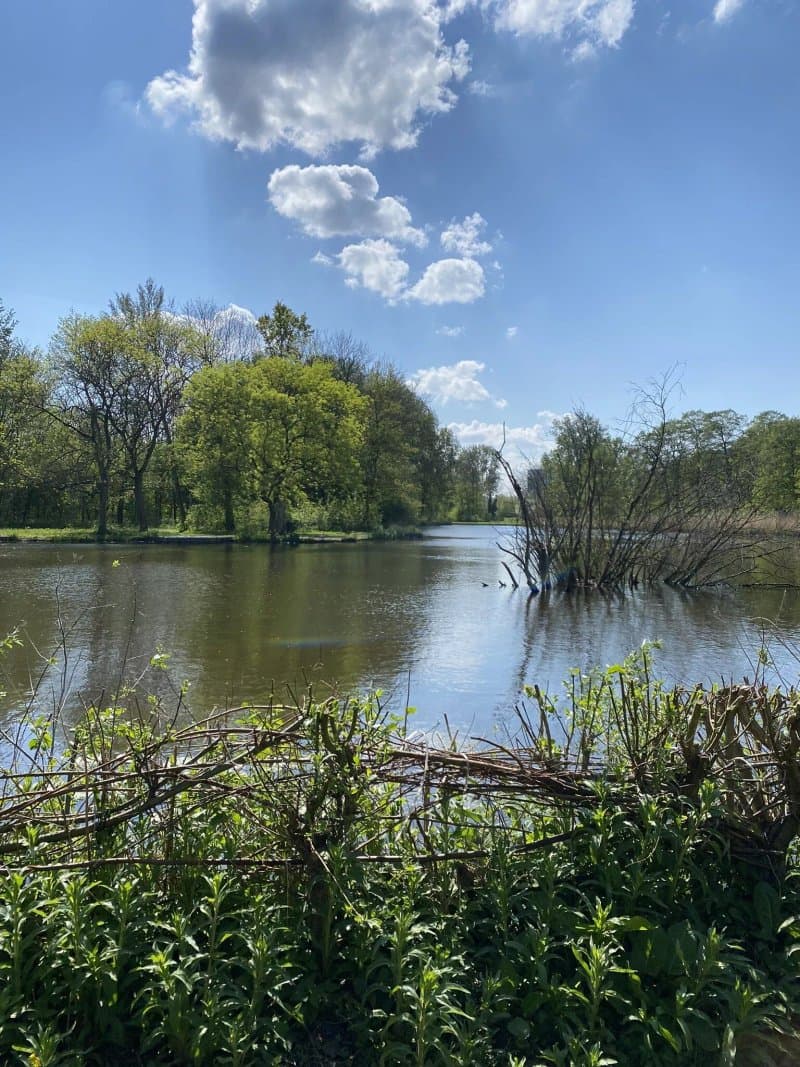 Beatrixpark