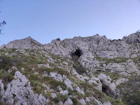 Otlica Natural Window