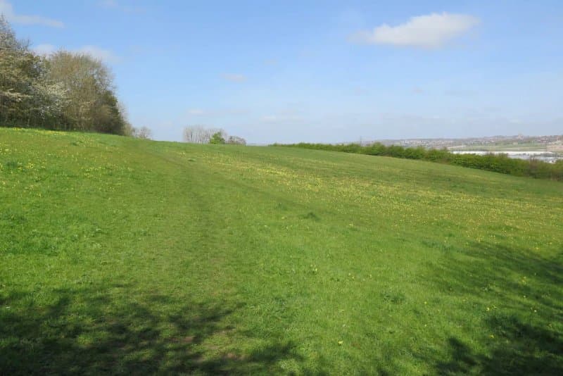 Cross Lane Meadows