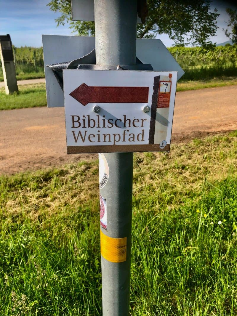 Biblischer Weinpfad